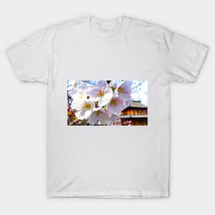 Photography - hanami at Fukuoka castle T-Shirt